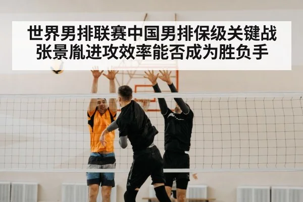 volleyball block net