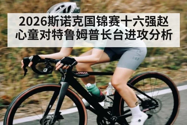 2026斯诺克国锦赛十六强赵心童对特鲁姆普长台进攻分析